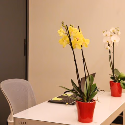 Hostal La Rúa-Montera — foto 4