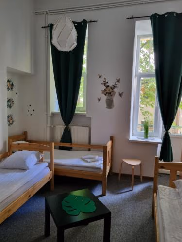 Green Cat Rooms — foto 3