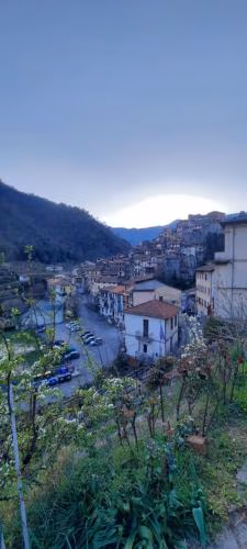 La Gallina Nel Castello — foto 5