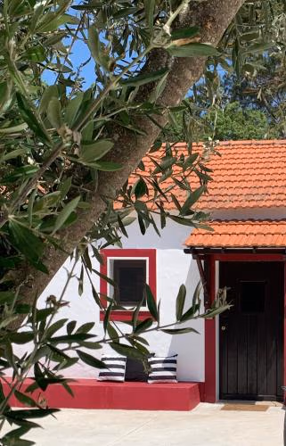 Monte do Pereiro — foto 5
