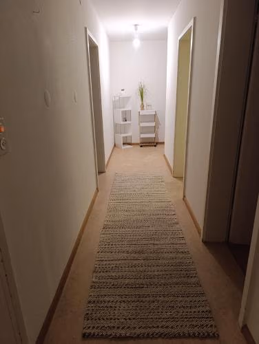 ESC Basel Furnished Apartment — foto 9