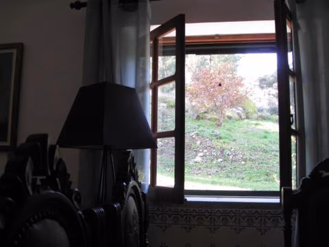 Quinta Souto da Ordem - House — photo 7