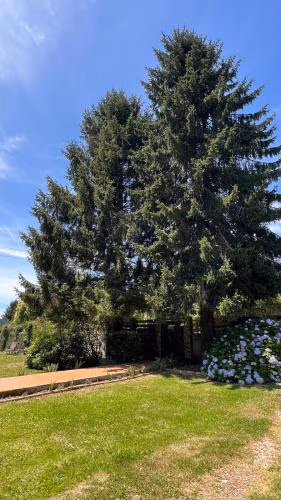 CASAPUEBLO Arzúa — foto 7