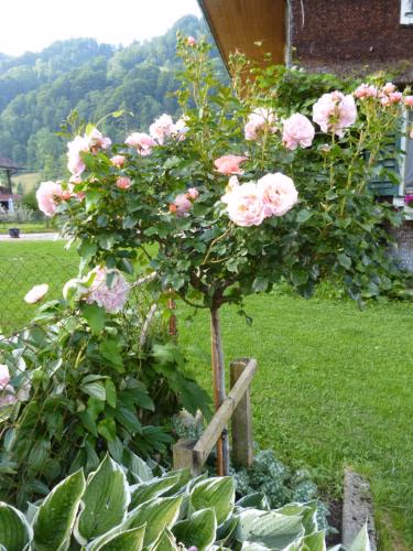 B&B Hofstetter — foto 2