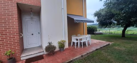 El Gallo Azul — foto 1