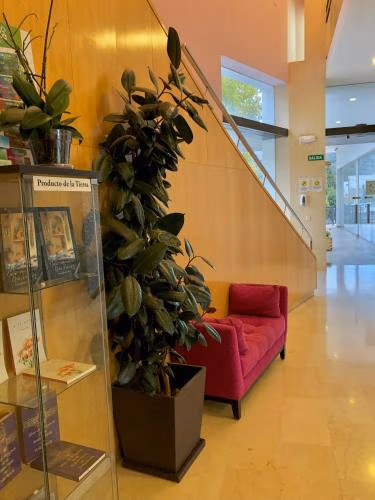 Hotel Mencia Subbética — photo 9