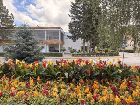 Villa Green — foto 2