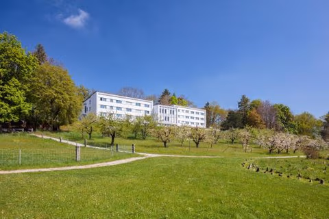 Le Domaine (Swiss Lodge) — foto 1