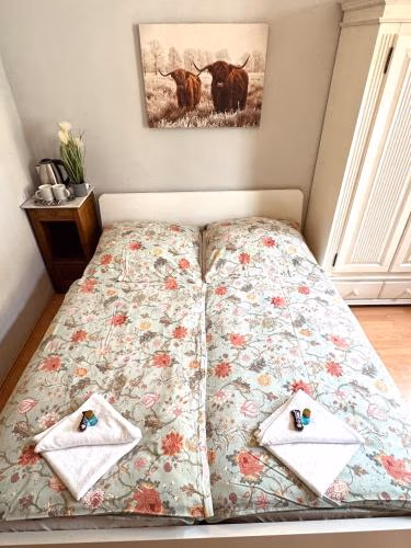 Pension Casa Tempora — foto 4