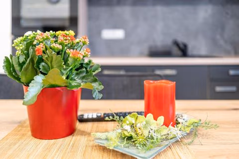 Monteurwohnung Kotte — foto 4