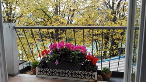 Villa Fiorita — foto 4