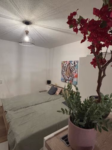 Emsquartier Apartment No 2 — photo 8