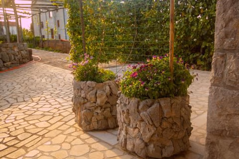 Apartments Cvelic Milovcic — foto 2
