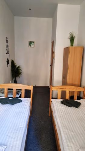 Green Cat Rooms — foto 7