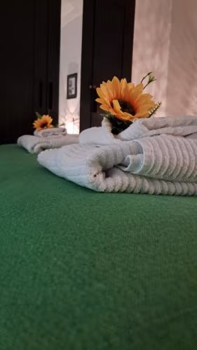 STELLA — photo 5