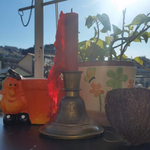 IL GECO — foto 9