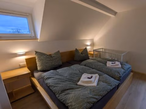Holiday home in Oelsnitz with swimming pool — photo 4