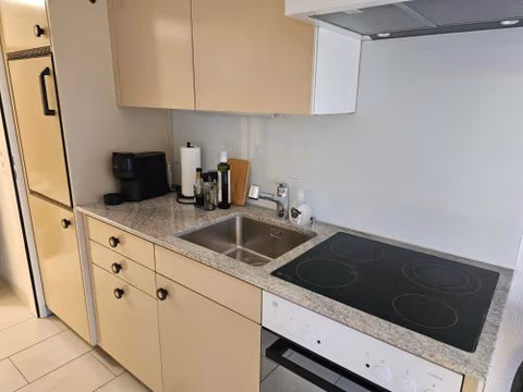 Premium Apartment mit Pilatus Sicht — foto 7