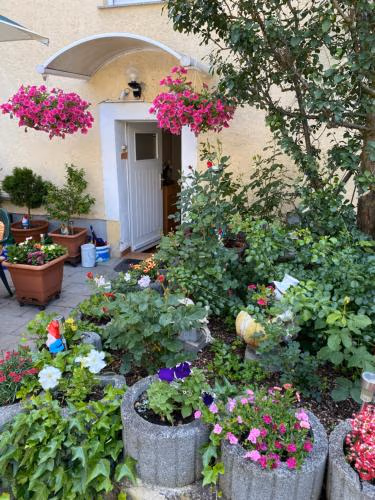 Ferienwohnung Goldener Drache — photo 4