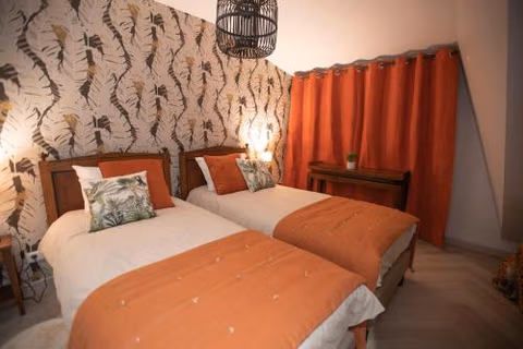 Chambre Jungle dans maison d'hote "Le Petit Clouet"- Rochecorbon — foto 1