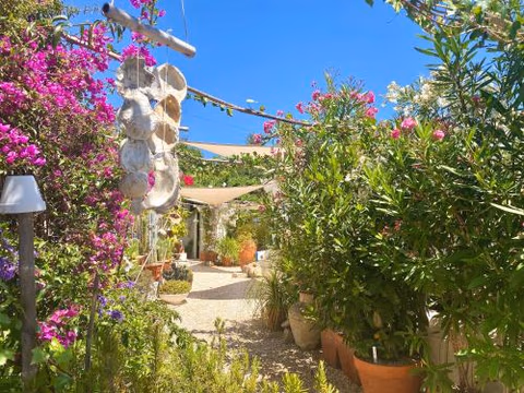 Casa da Aldeia — foto 3