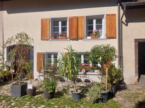 18th C Cottage near Basel, Hiking, Business, Couples, Families, Groups, Parking, Fast WiFi, Jura Mountains
