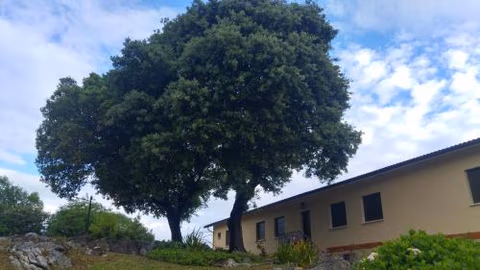 Hotel La Encina Celorio Llanes — foto 4