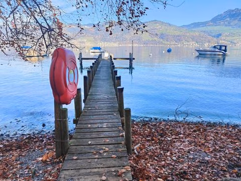 am See 5min nach Spiez 20min nach Interlaken — foto 3