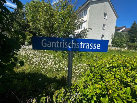 Ruhiger Vorort Bern kostenloses Parken 6km Zentrum — foto 3