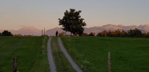 like home — foto 1