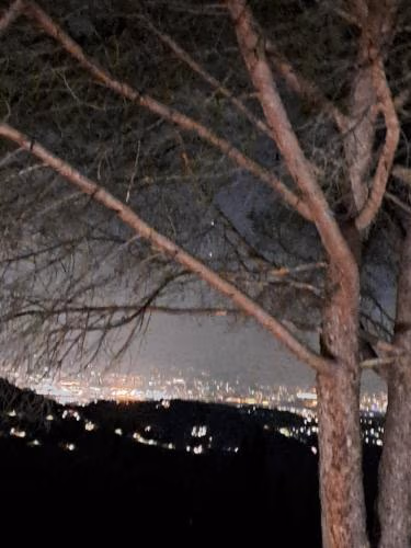 B&B La Dimora di Alida — photo 2