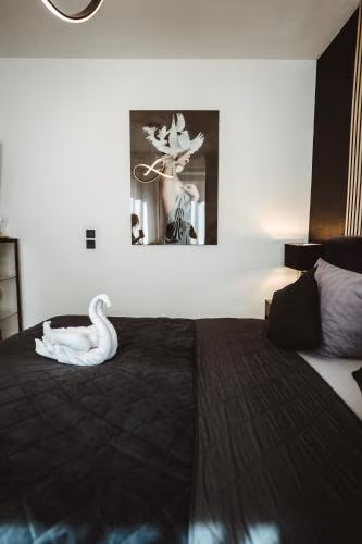 Boutique Hotel Cologne — photo 3