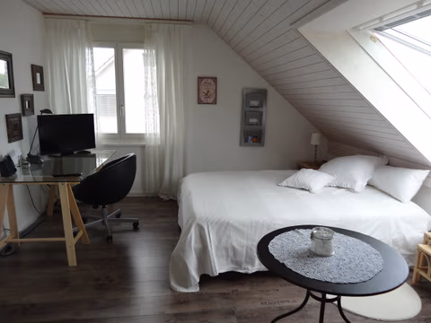 BnB Bodmer Wetzikon — foto 2