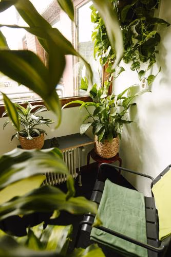 Sleep Station Hostel — foto 8