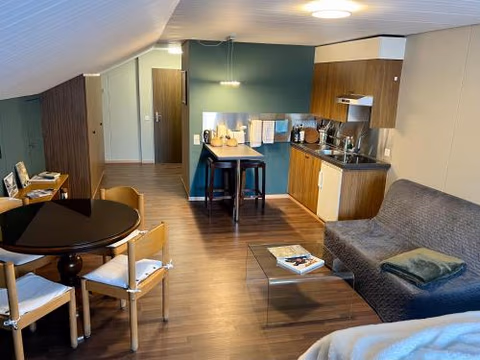 Studio Apartment Göschenen — foto 8