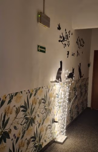 Green Cat Rooms — foto 9