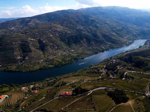 Casa Vale do Douro — photo 3