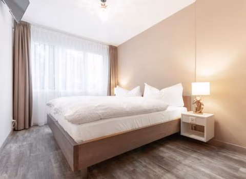 Hotel Birsighof Basel City Center — foto 7