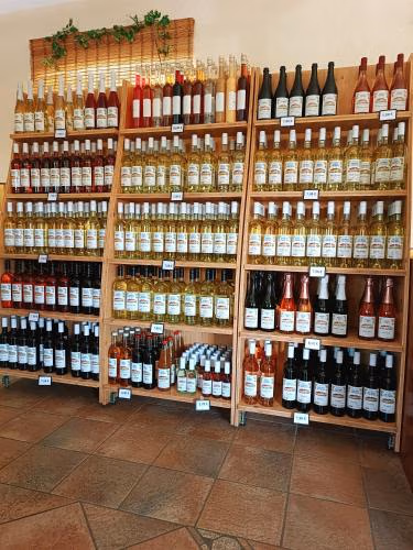 Landhotel Weingut Schulze — foto 6