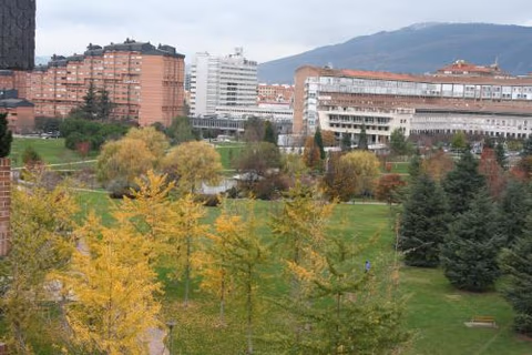 Hostal Acella — foto 5