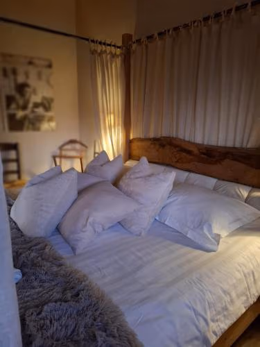 Agriturismo La Pina — foto 4