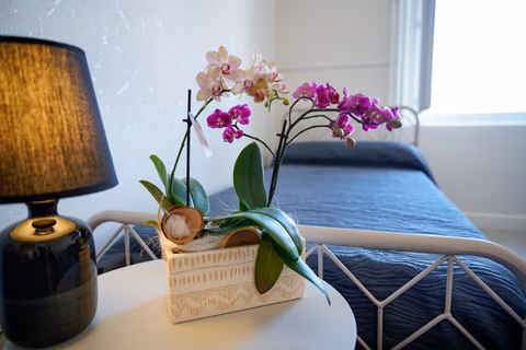 Gîte du Centre — foto 6