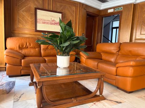 Hotel Amefa — foto 5
