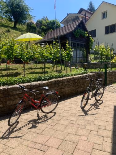 Bed n Breakfast Obermumpf — foto 6