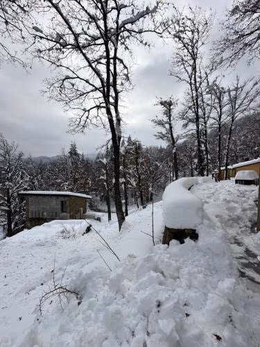 B&b Casa Rioletta — photo 6