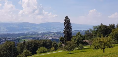 like home — foto 3