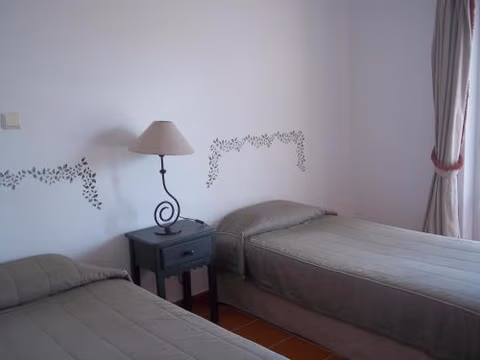 Lusitanus — foto 6