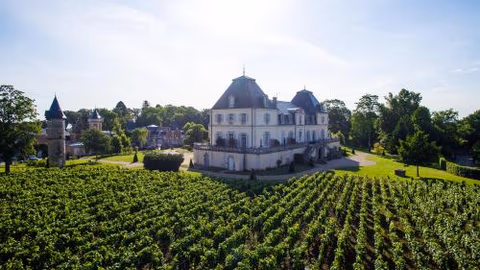 Château & Spa de la Cueillette — foto 1
