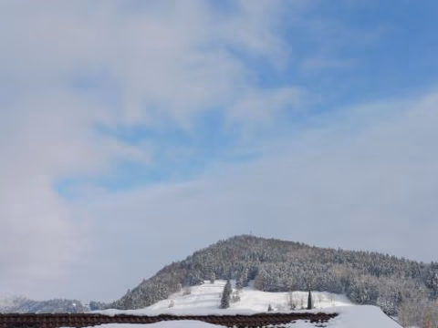 Grün und herzlich — foto 2