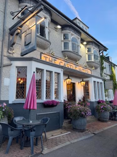 Castle Hotel — foto 4